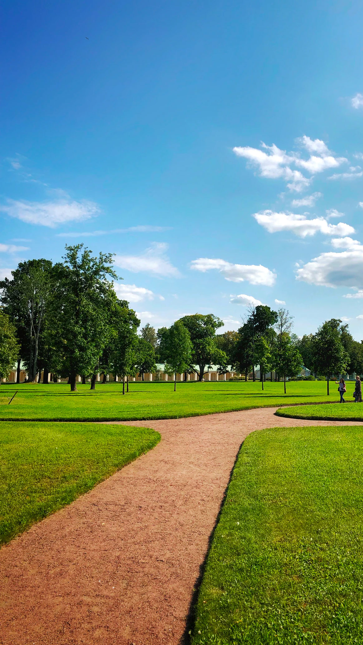 Park Walkways & Turf Park Walkways & Turf
